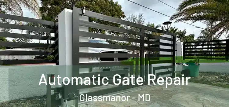  Automatic Gate Repair Glassmanor - MD