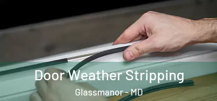 Door Weather Stripping Glassmanor - MD