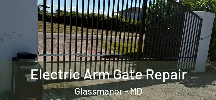 Electric Arm Gate Repair Glassmanor - MD