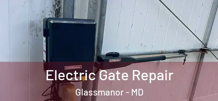 Electric Gate Repair Glassmanor - MD
