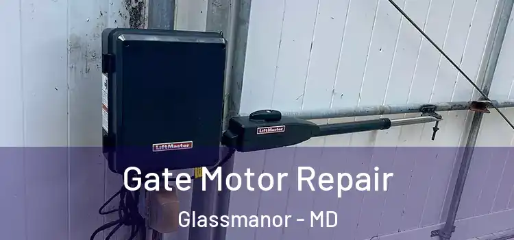 Gate Motor Repair Glassmanor - MD