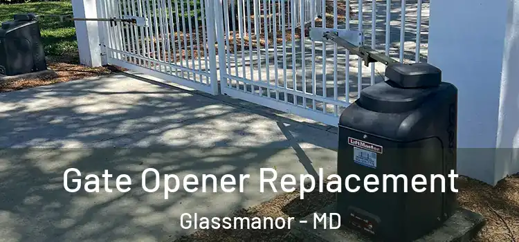  Gate Opener Replacement Glassmanor - MD