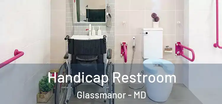  Handicap Restroom Glassmanor - MD