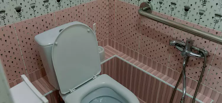 Meeting Diverse Needs With Accessible Restroom Solutions in Glassmanor, MD